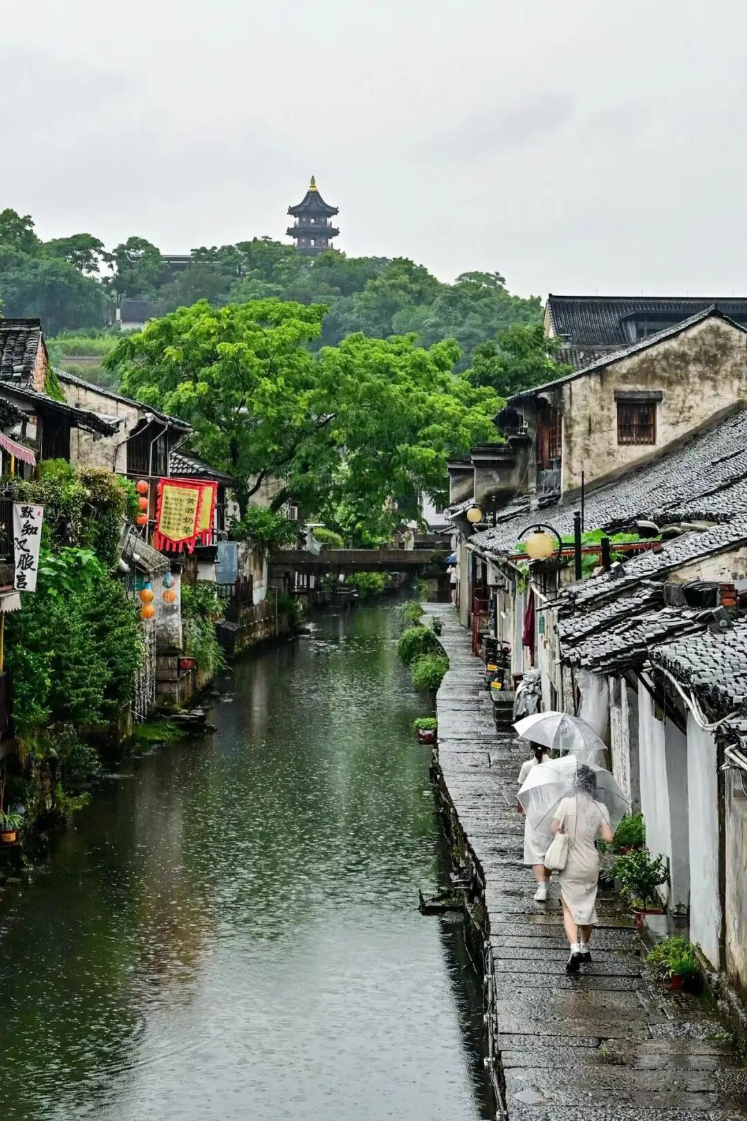 中国最“臭”的城市：臭晕游客，吃吐无数人！比柳州还“上头”，却让鲁迅表白！穷游必去，比苏杭更诗意