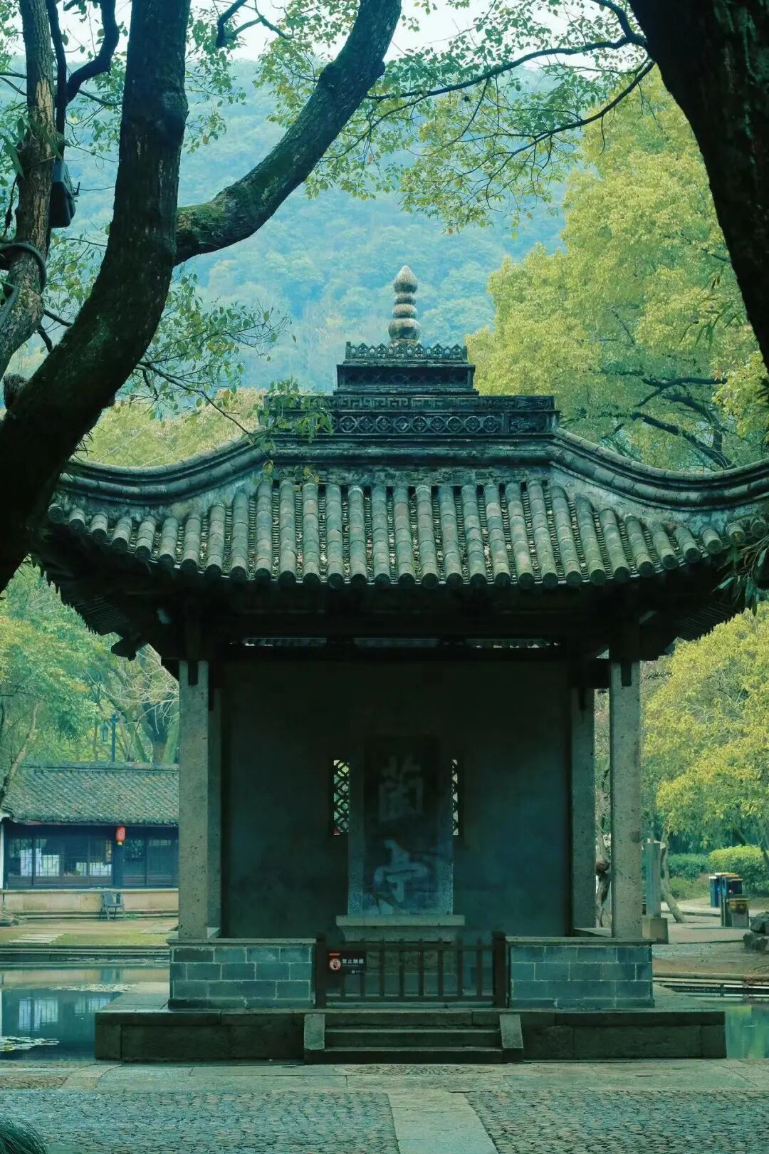 中国最“臭”的城市：臭晕游客，吃吐无数人！比柳州还“上头”，却让鲁迅表白！穷游必去，比苏杭更诗意