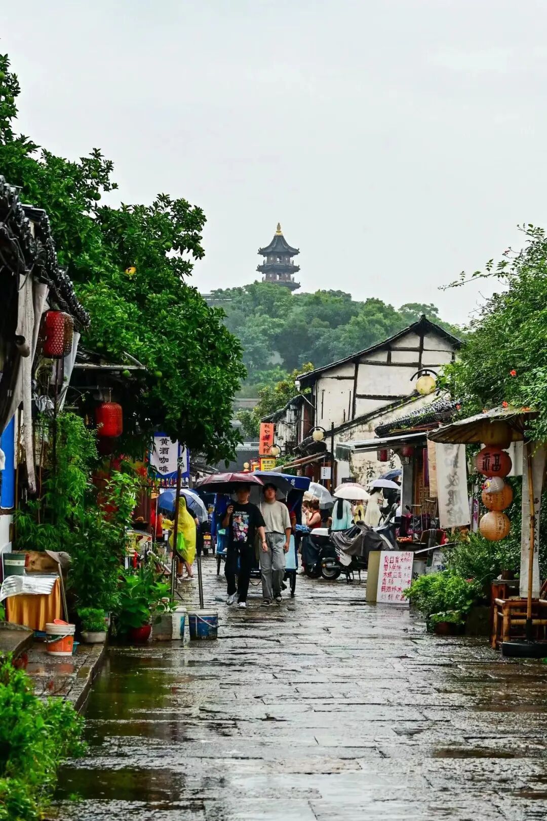 中国最“臭”的城市：臭晕游客，吃吐无数人！比柳州还“上头”，却让鲁迅表白！穷游必去，比苏杭更诗意