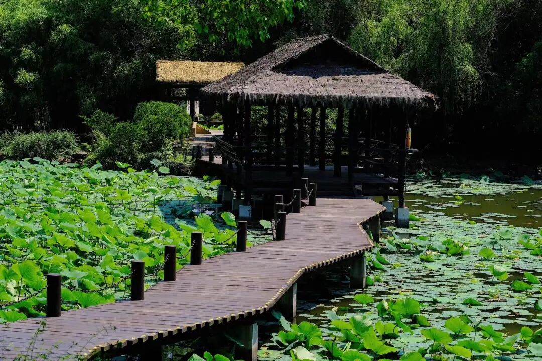 中国最“臭”的城市：臭晕游客，吃吐无数人！比柳州还“上头”，却让鲁迅表白！穷游必去，比苏杭更诗意