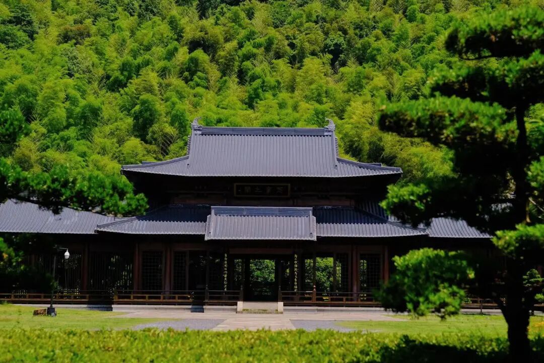 中国最“臭”的城市：臭晕游客，吃吐无数人！比柳州还“上头”，却让鲁迅表白！穷游必去，比苏杭更诗意