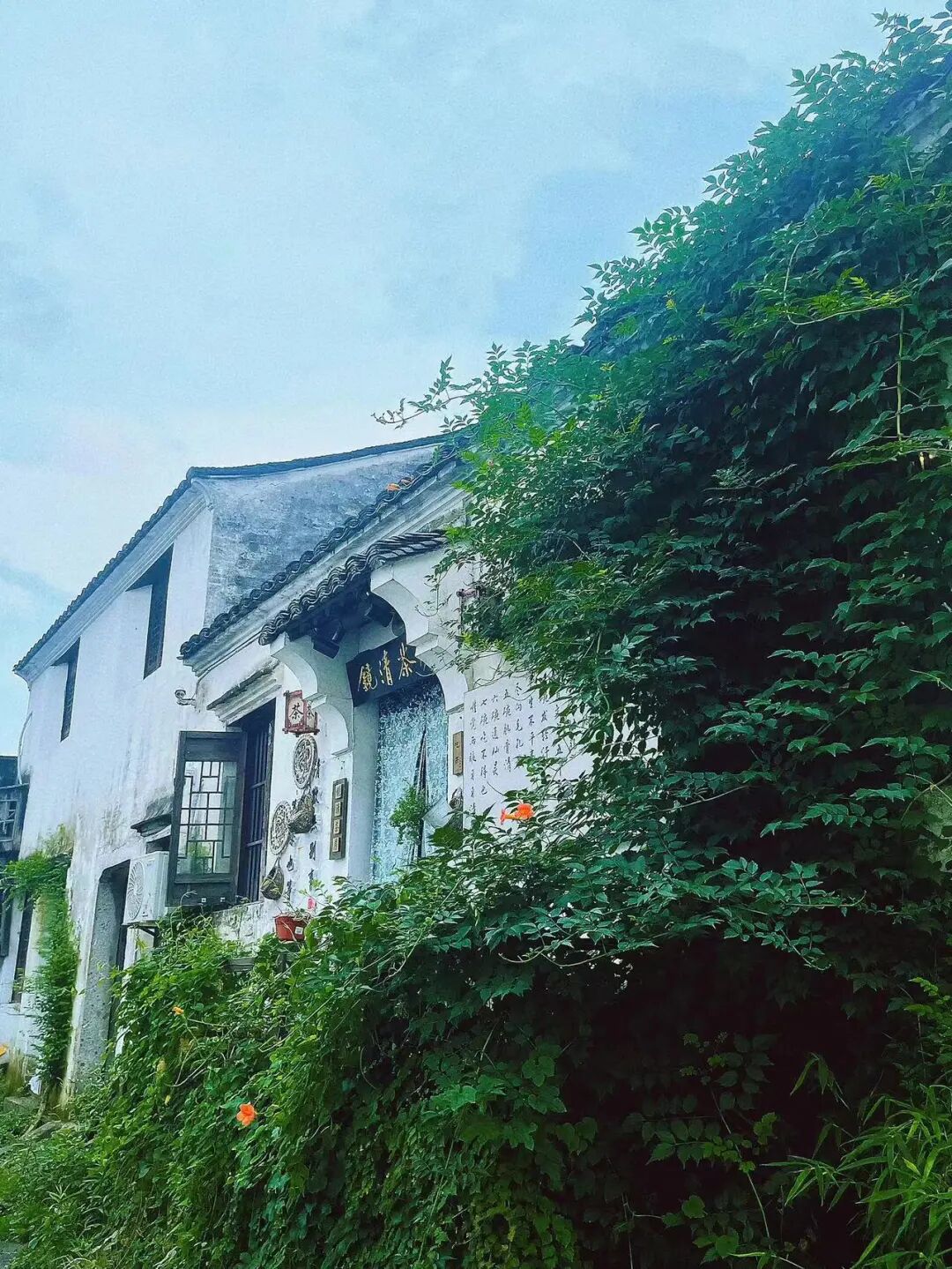 中国最“臭”的城市：臭晕游客，吃吐无数人！比柳州还“上头”，却让鲁迅表白！穷游必去，比苏杭更诗意