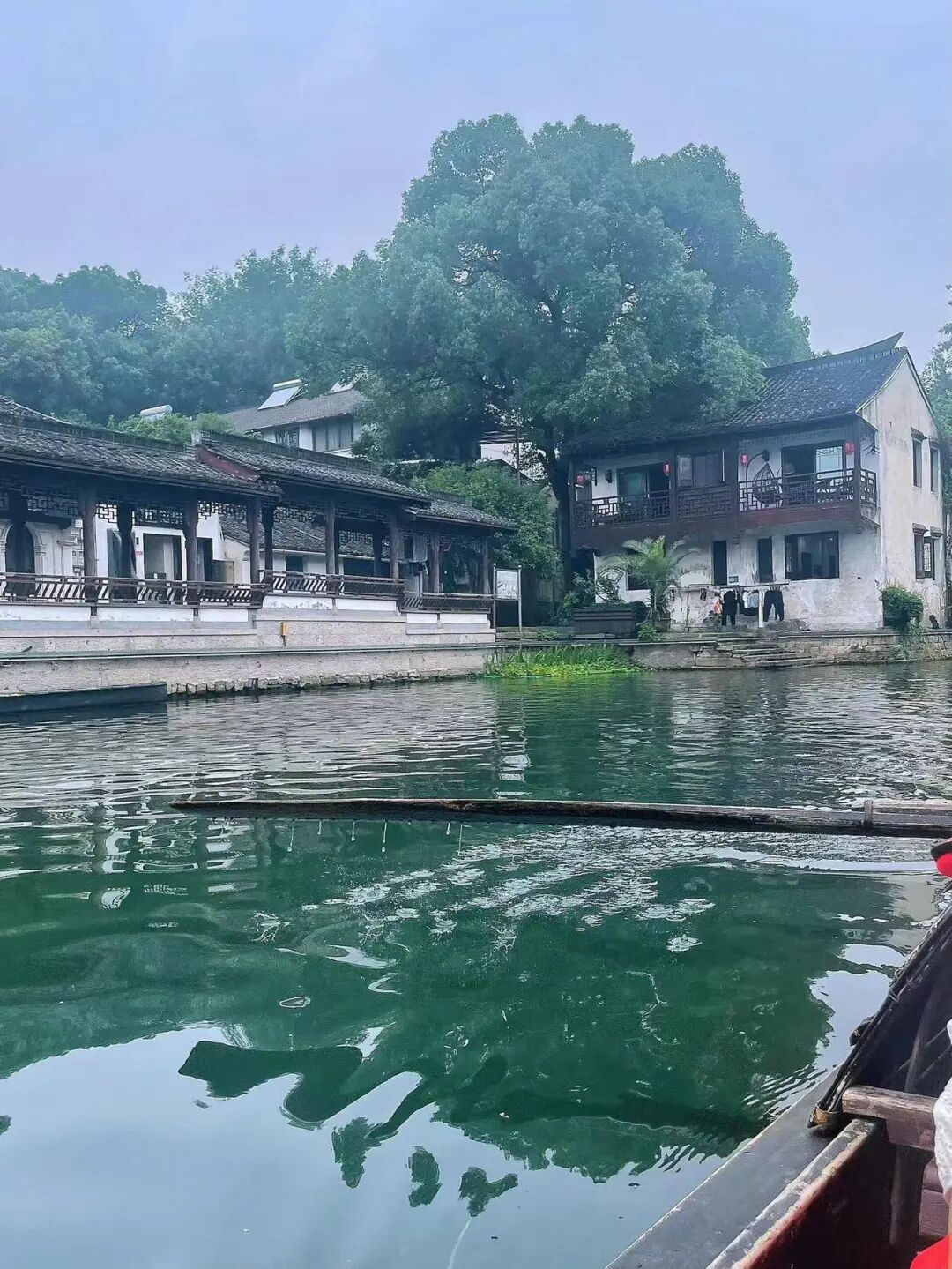 中国最“臭”的城市：臭晕游客，吃吐无数人！比柳州还“上头”，却让鲁迅表白！穷游必去，比苏杭更诗意