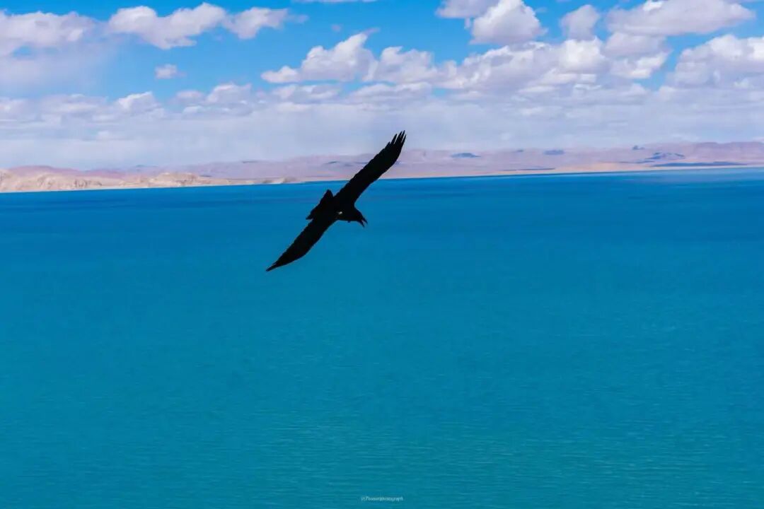 我国名字“最奇怪”县城，听起来像骂人，却是无数游客的心之所向…