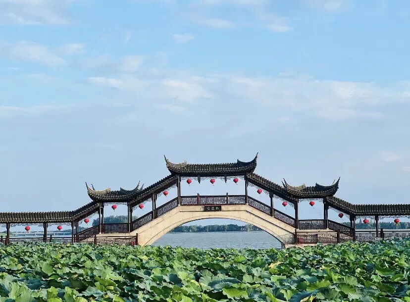 不是乌镇，不是周庄，这个被严重低估的避世古镇，不费钱，不需要攻略！800元就能玩到爽