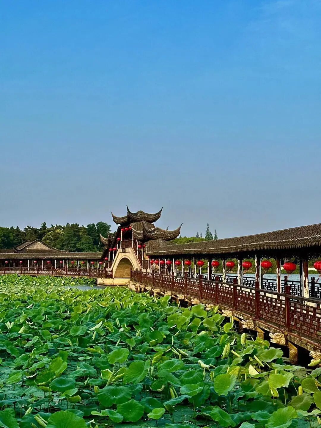 不是乌镇，不是周庄，这个被严重低估的避世古镇，不费钱，不需要攻略！800元就能玩到爽