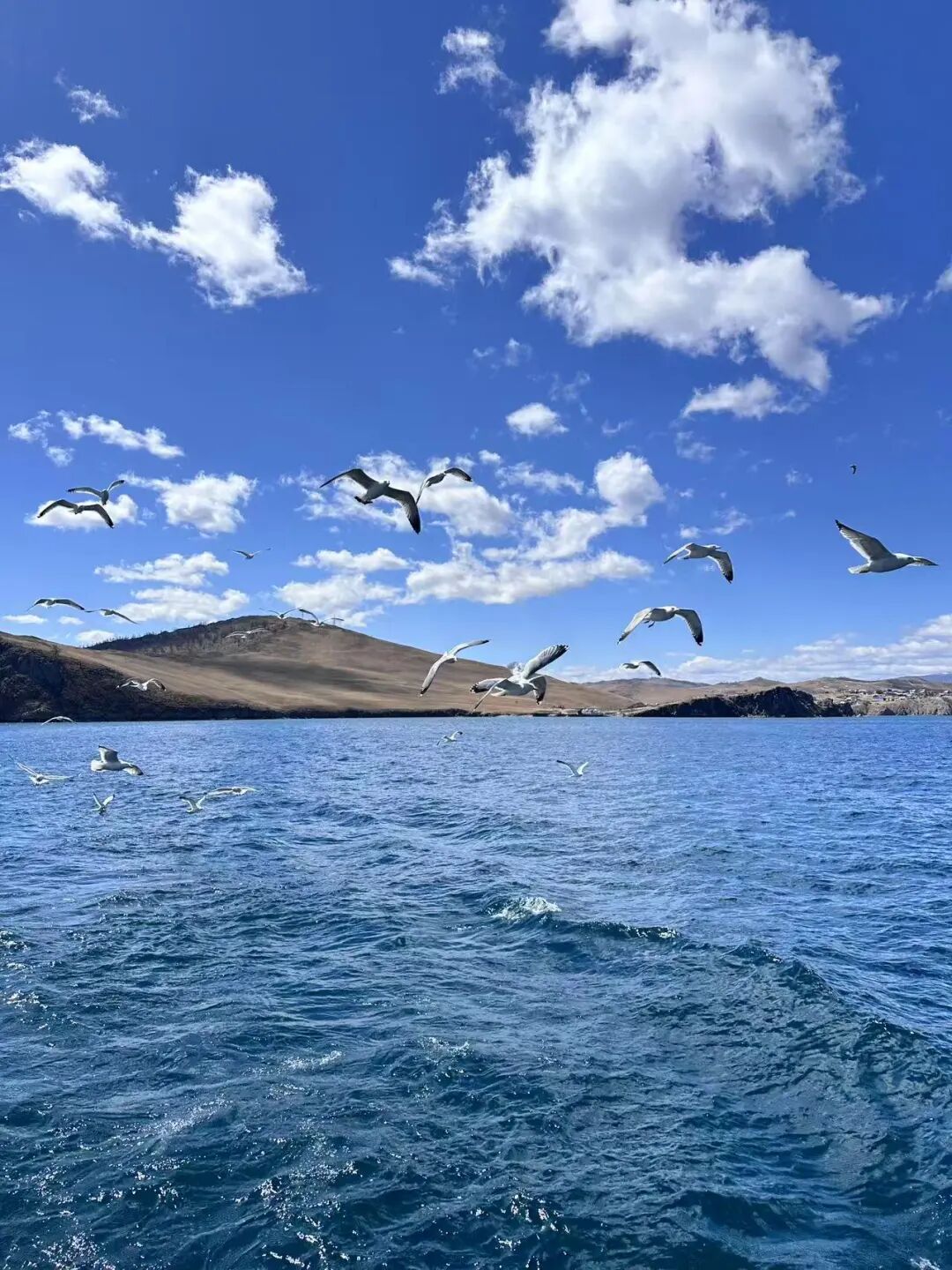 直飞3h，往返1.8k+！直抵「地球蓝宝石」心脏，住进湖畔木屋，享受20℃的悠闲夏日！