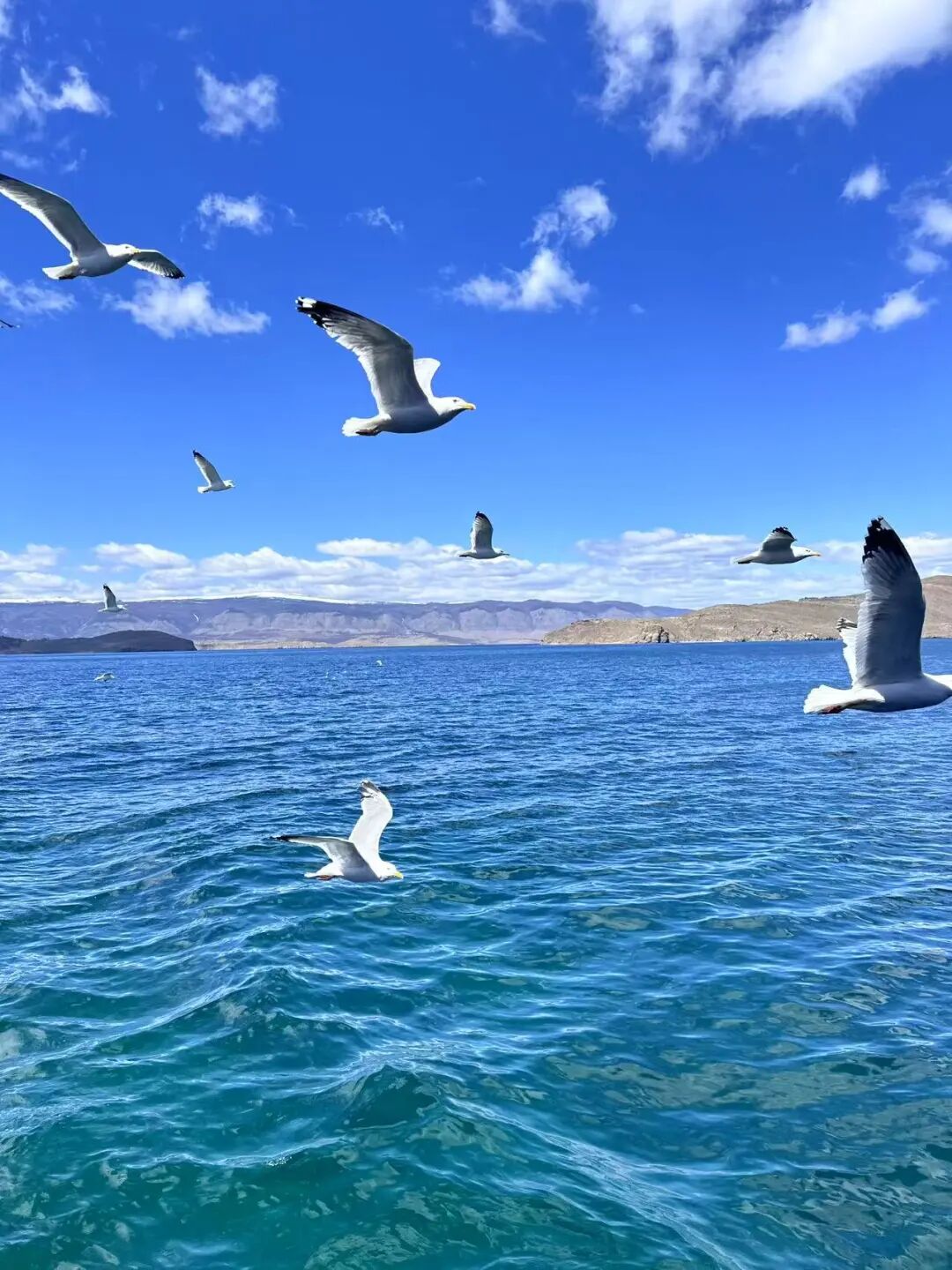 直飞3h，往返1.8k+！直抵「地球蓝宝石」心脏，住进湖畔木屋，享受20℃的悠闲夏日！
