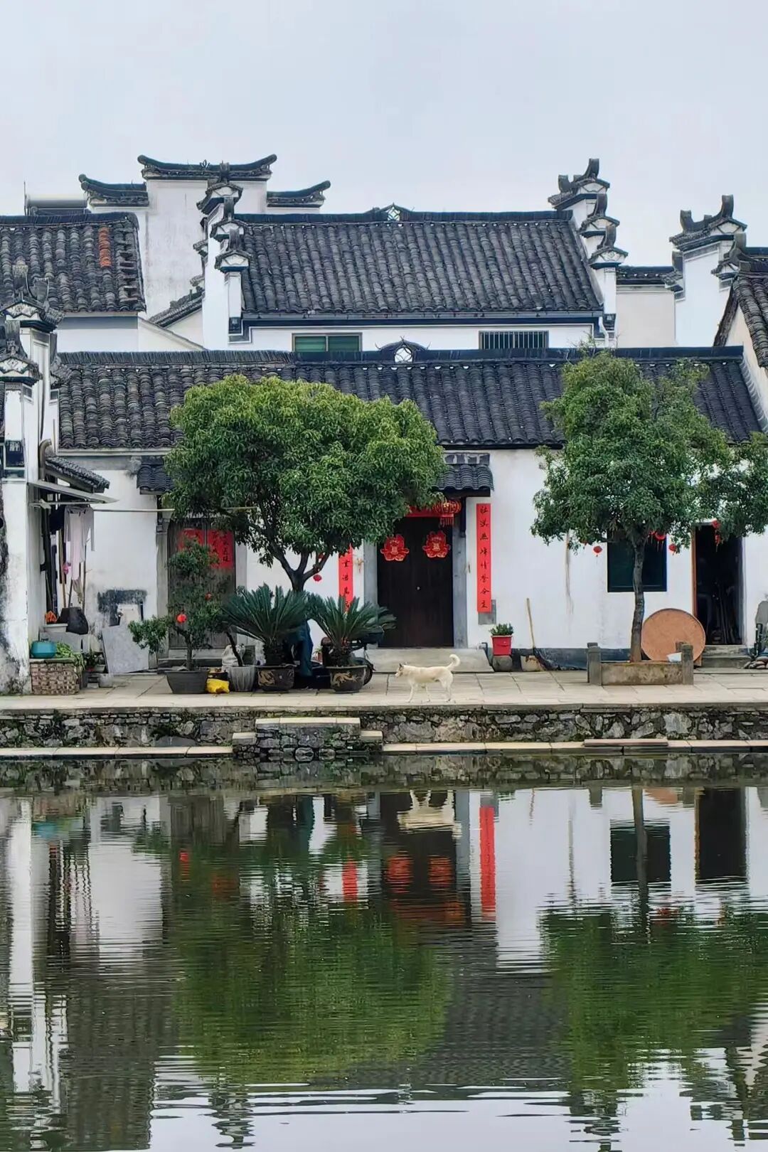 比广州古早，比扬州丰富！这座“江南早茶第一城”，光小吃就多达300种！超适合小住逛吃~