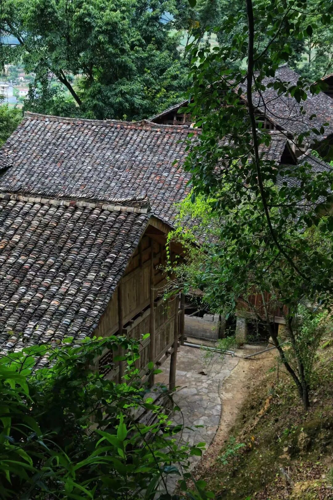 国内最具松弛感的避暑小城，几百元能玩3天，小吃比贵阳还多，夏天只有25℃！