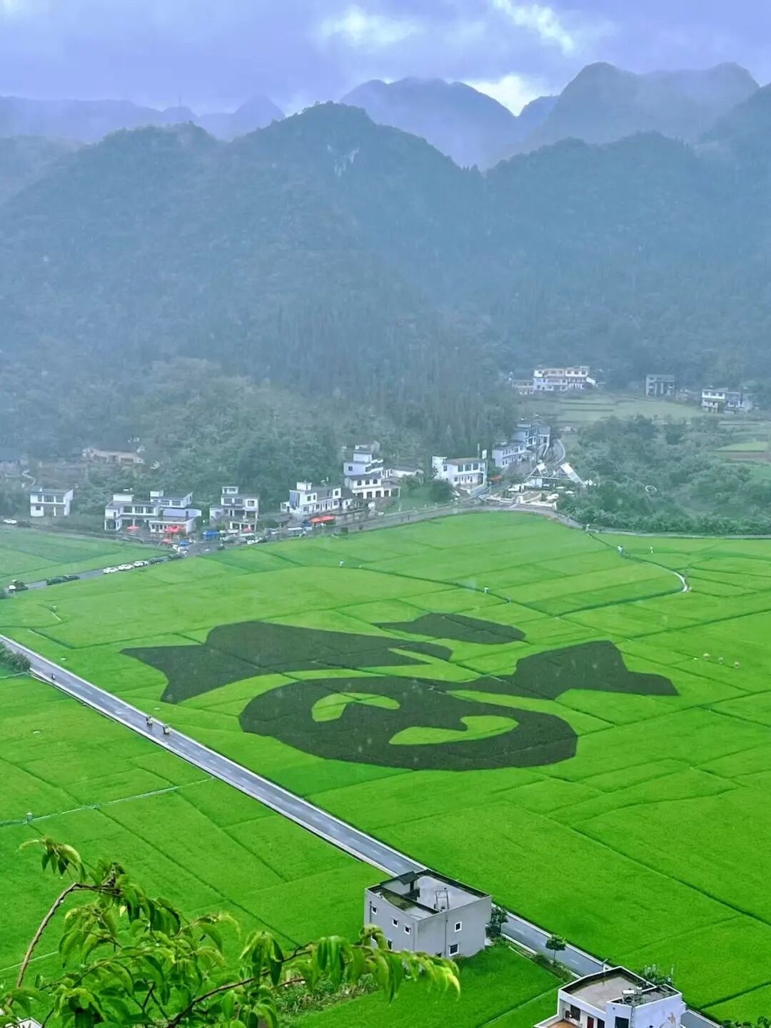 国内最具松弛感的避暑小城，几百元能玩3天，小吃比贵阳还多，夏天只有25℃！