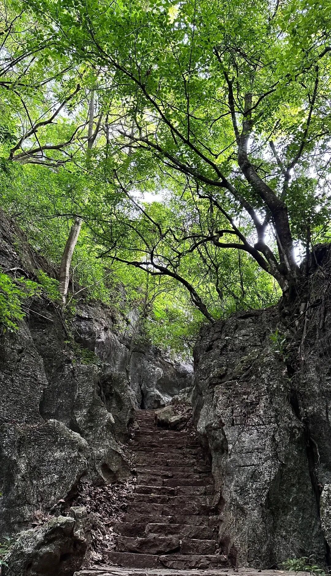 比六盘水小众，这个避暑世外桃源，夏季均温22℃！山水比桂林诗意，2万亩荷花正花开成海