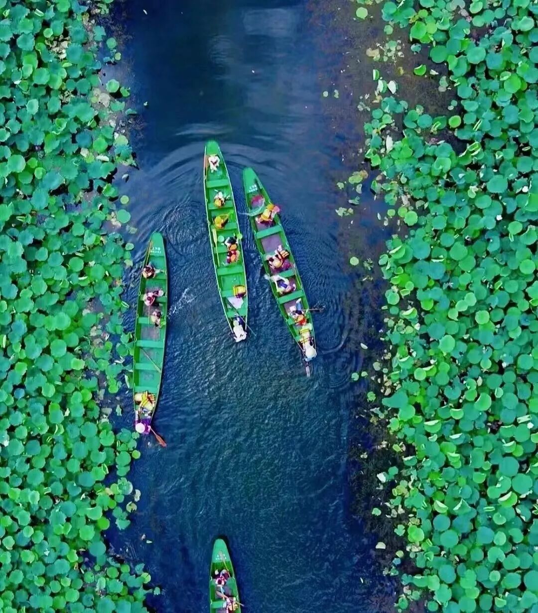 比六盘水小众，这个避暑世外桃源，夏季均温22℃！山水比桂林诗意，2万亩荷花正花开成海