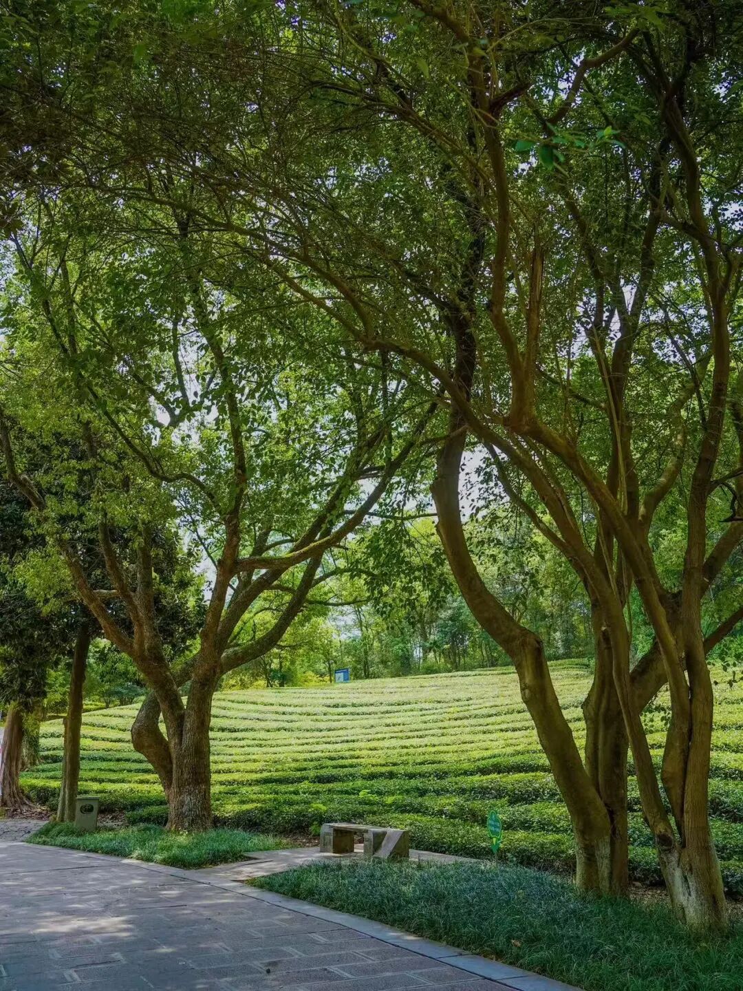 又挖到一座避世的神仙小城，古村比宏村更美，还有条风靡驴友圈的自驾线！
