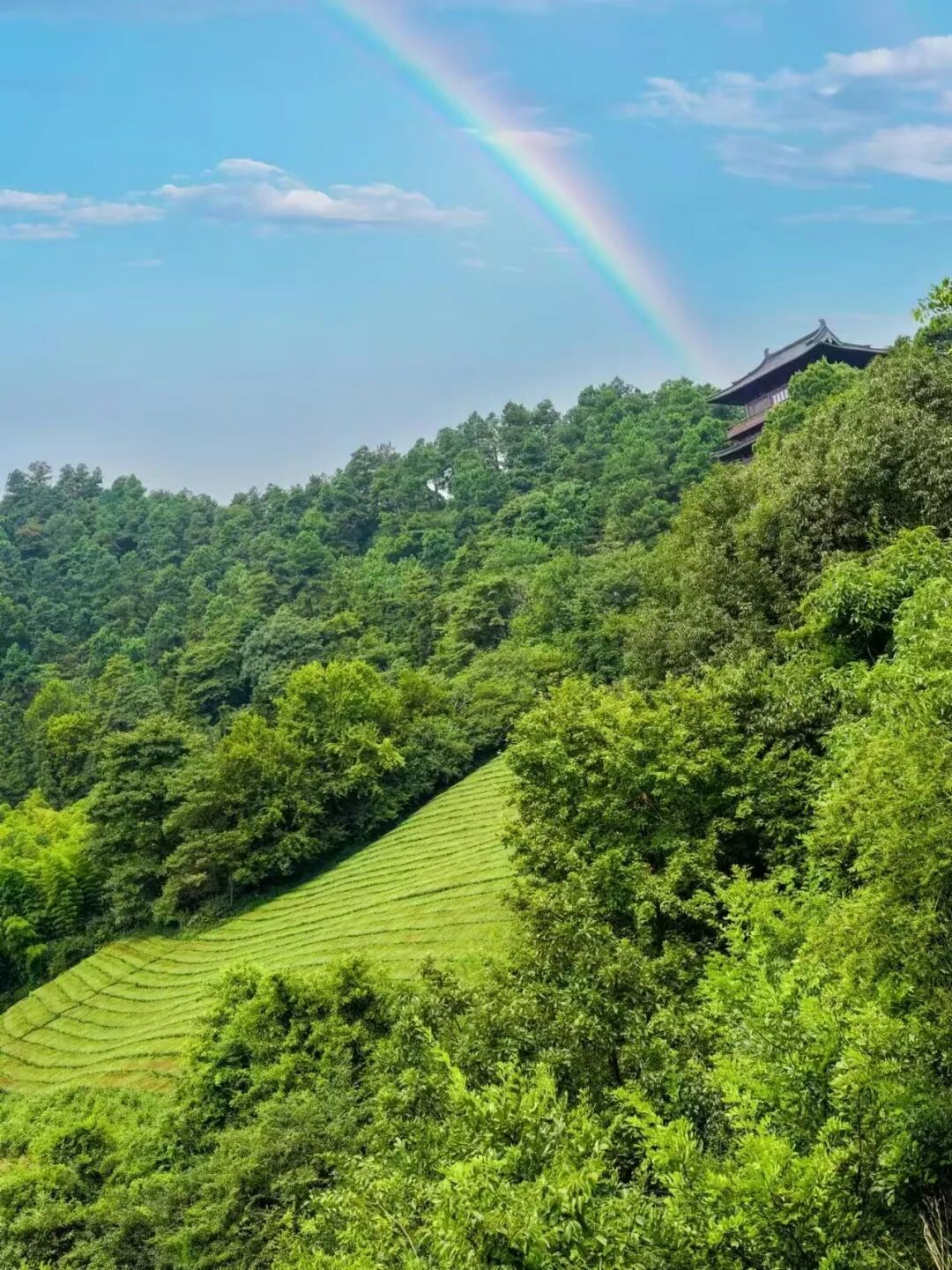 又挖到一座避世的神仙小城，古村比宏村更美，还有条风靡驴友圈的自驾线！