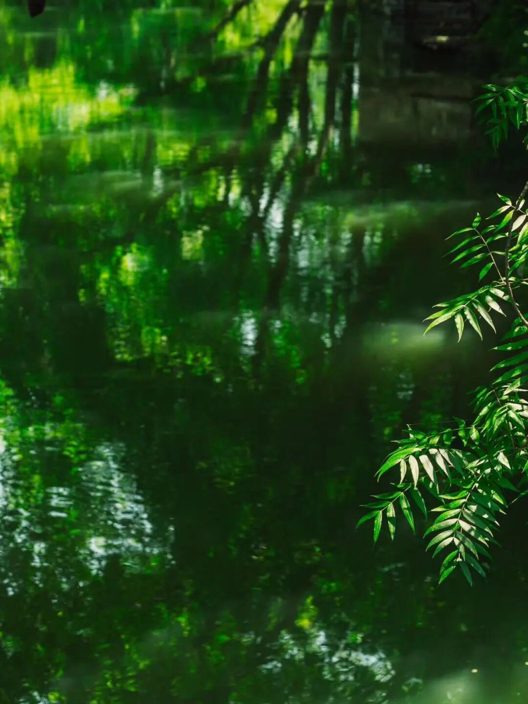 又挖到一座避世的神仙小城，古村比宏村更美，还有条风靡驴友圈的自驾线！