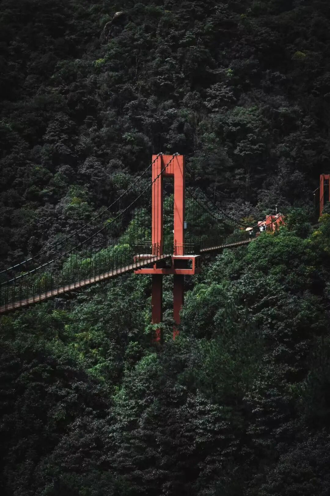 比婺源更美，比台州好吃，最被忽略的赏秋小城，无需请假，周末反向游正好！