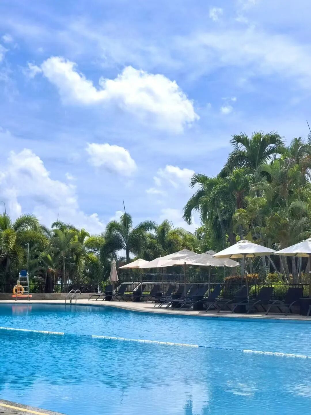 机票比三亚便宜，比成都安逸，小吃不逊于广州，这里的冬天超适合避寒