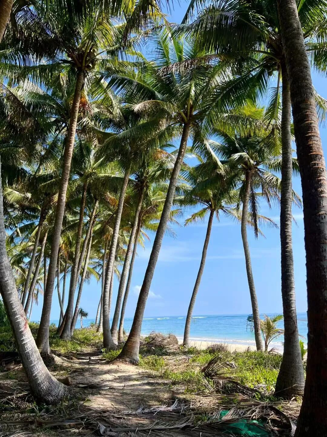 机票比三亚便宜，比成都安逸，小吃不逊于广州，这里的冬天超适合避寒