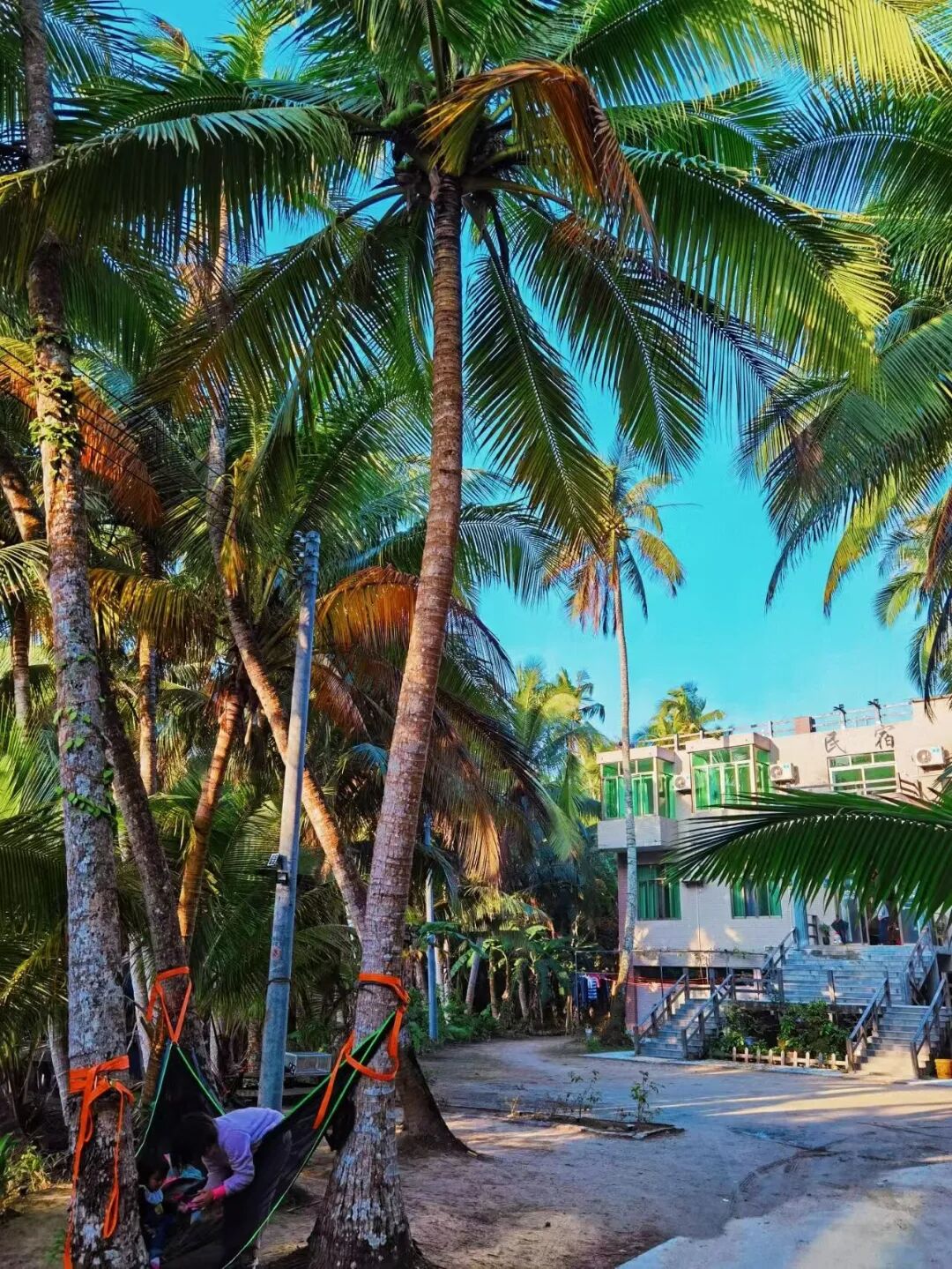 机票比三亚便宜，比成都安逸，小吃不逊于广州，这里的冬天超适合避寒