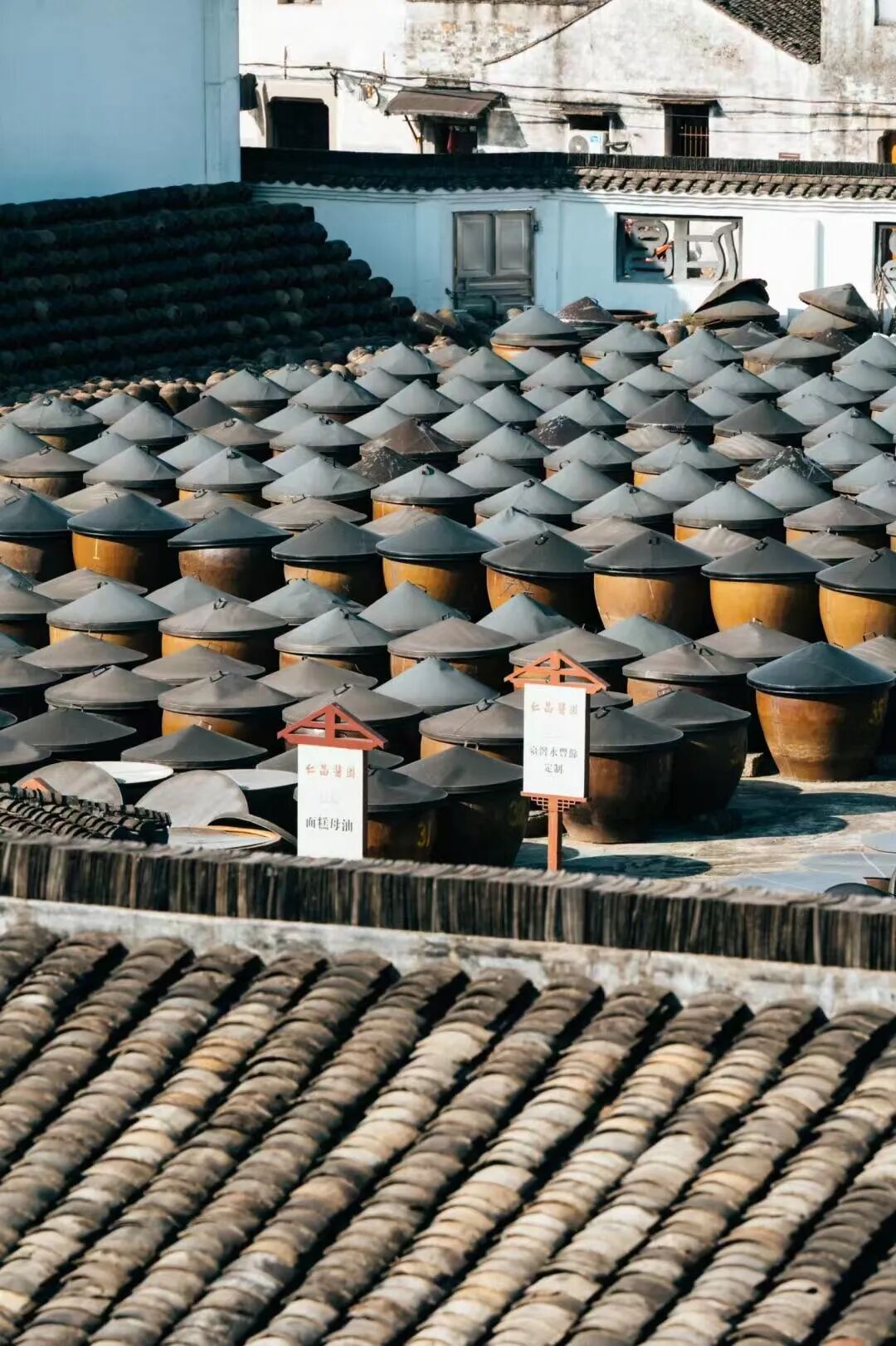 央视果然没骗人！江南最低调的小城，门票免费，年味最浓！安逸十足，超适合过年来躺平