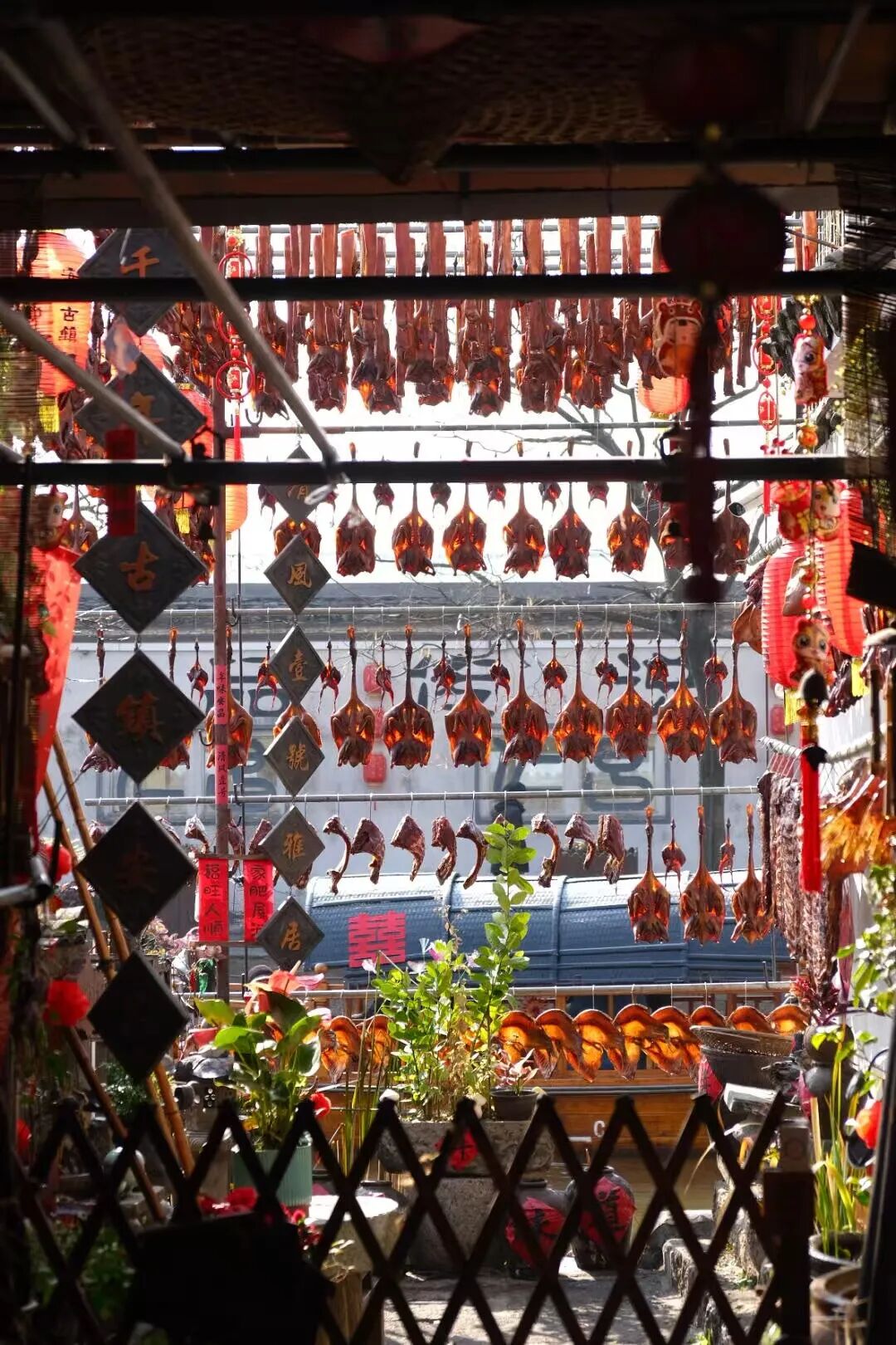 央视果然没骗人！江南最低调的小城，门票免费，年味最浓！安逸十足，超适合过年来躺平