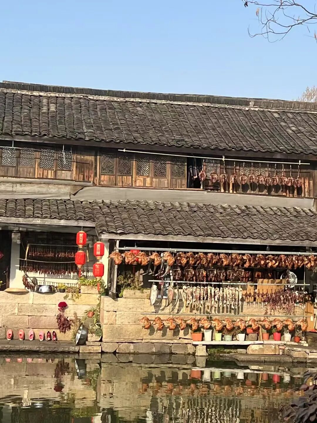 央视果然没骗人！江南最低调的小城，门票免费，年味最浓！安逸十足，超适合过年来躺平