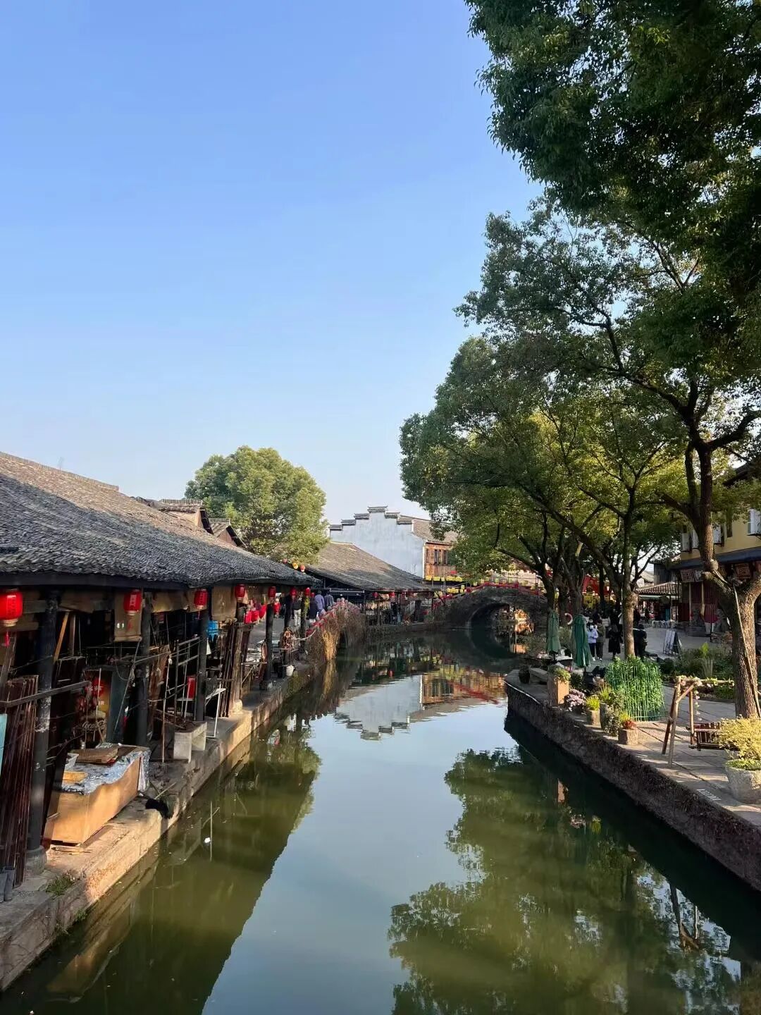 央视果然没骗人！江南最低调的小城，门票免费，年味最浓！安逸十足，超适合过年来躺平