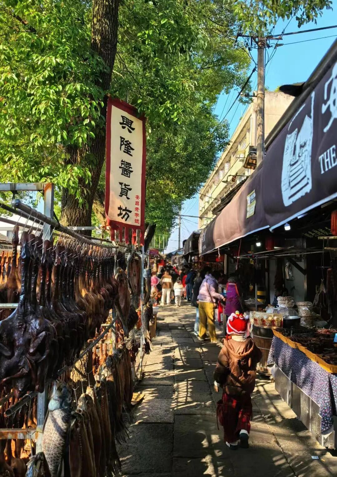 央视果然没骗人！江南最低调的小城，门票免费，年味最浓！安逸十足，超适合过年来躺平