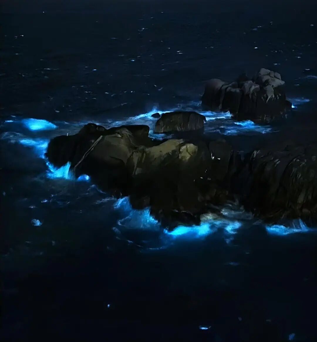 电影《东极岛》取景地火了！比厦门人少，浪漫不输青岛，还常年登上国家地理封面！