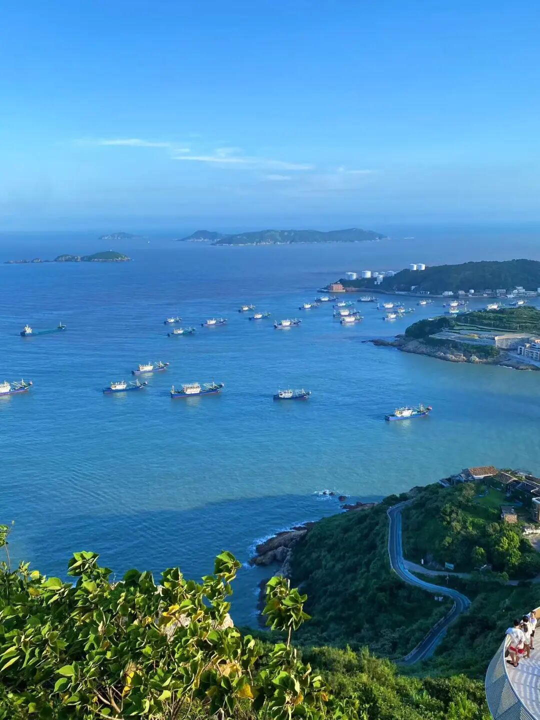 比舟山好吃，比宁波小众，这座“长三角第一鲜”小城，开渔季60元吃到爽！