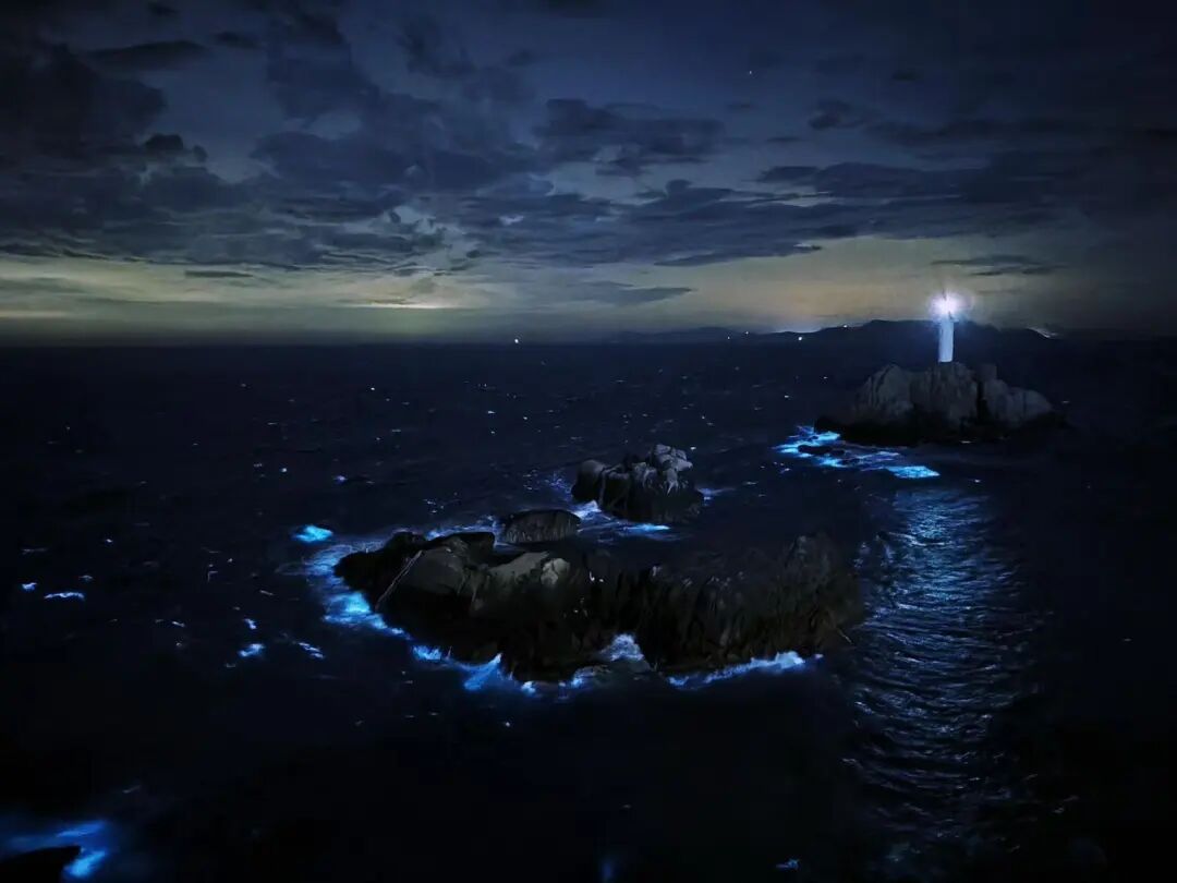 电影《东极岛》取景地火了！比厦门人少，浪漫不输青岛，还常年登上国家地理封面！