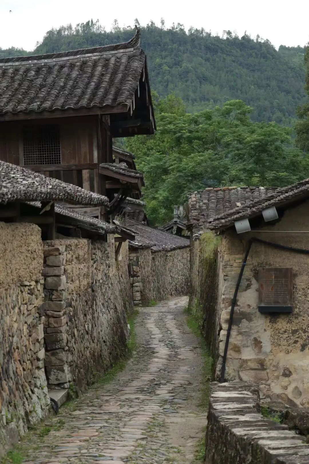 国庆人超少！风吹麦浪的文艺小县城，2h直达，喝咖啡吃河鲜，山水媲美张家界！