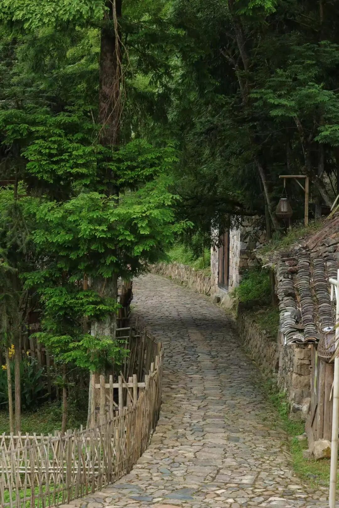 国庆人超少！风吹麦浪的文艺小县城，2h直达，喝咖啡吃河鲜，山水媲美张家界！