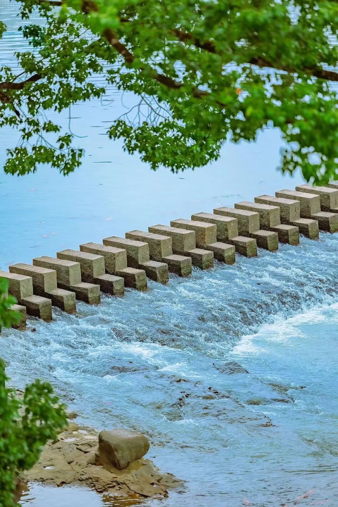 国庆人超少！风吹麦浪的文艺小县城，2h直达，喝咖啡吃河鲜，山水媲美张家界！