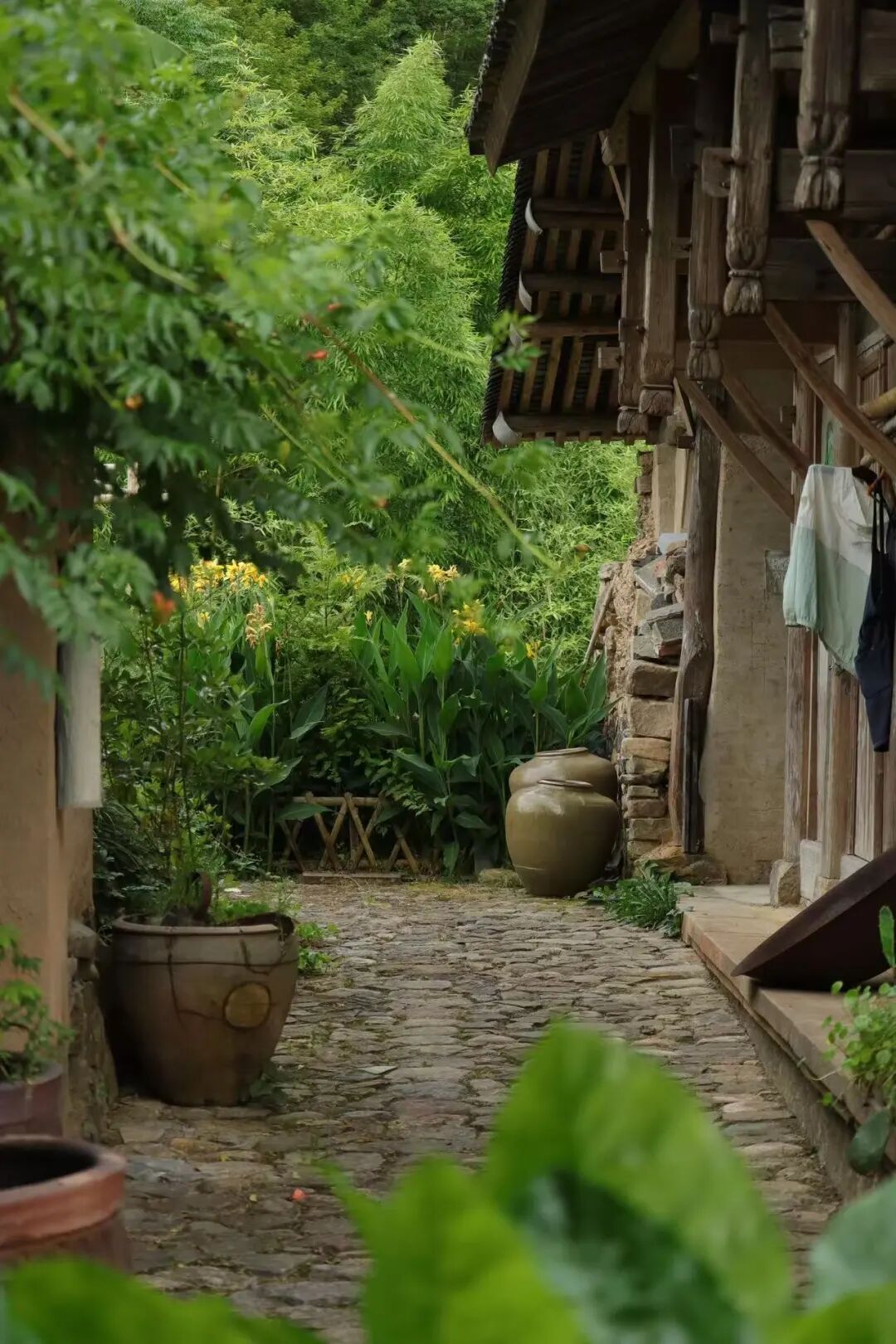 国庆人超少！风吹麦浪的文艺小县城，2h直达，喝咖啡吃河鲜，山水媲美张家界！