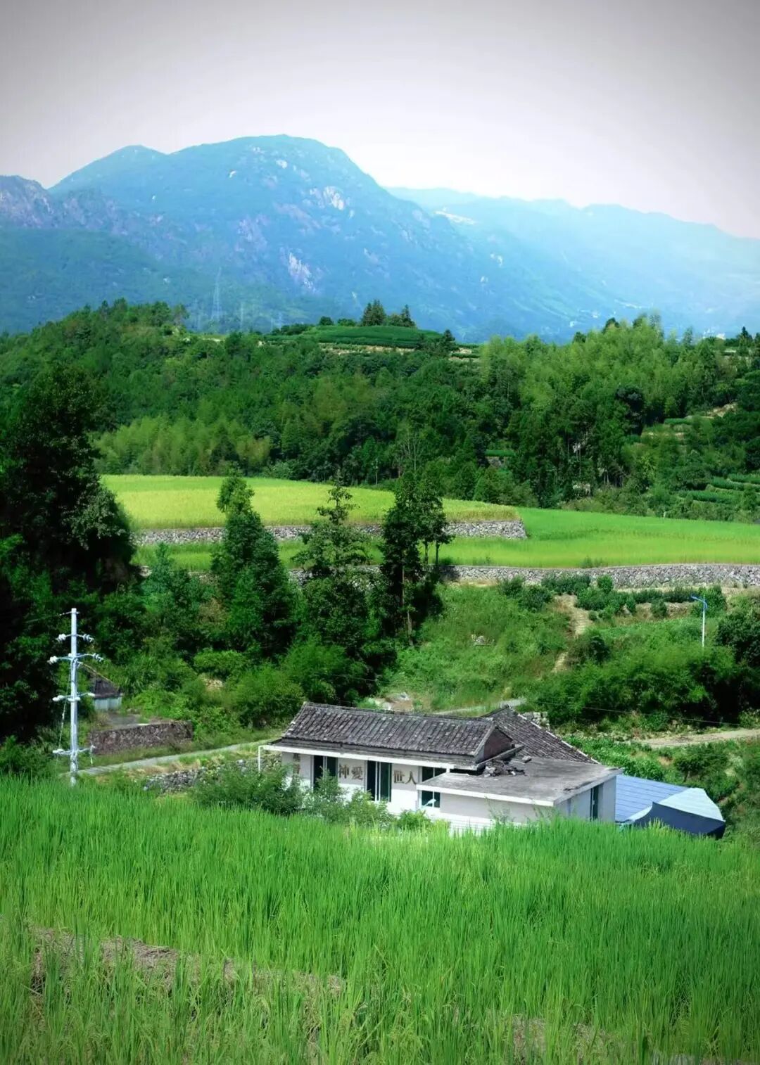 国庆人超少！风吹麦浪的文艺小县城，2h直达，喝咖啡吃河鲜，山水媲美张家界！