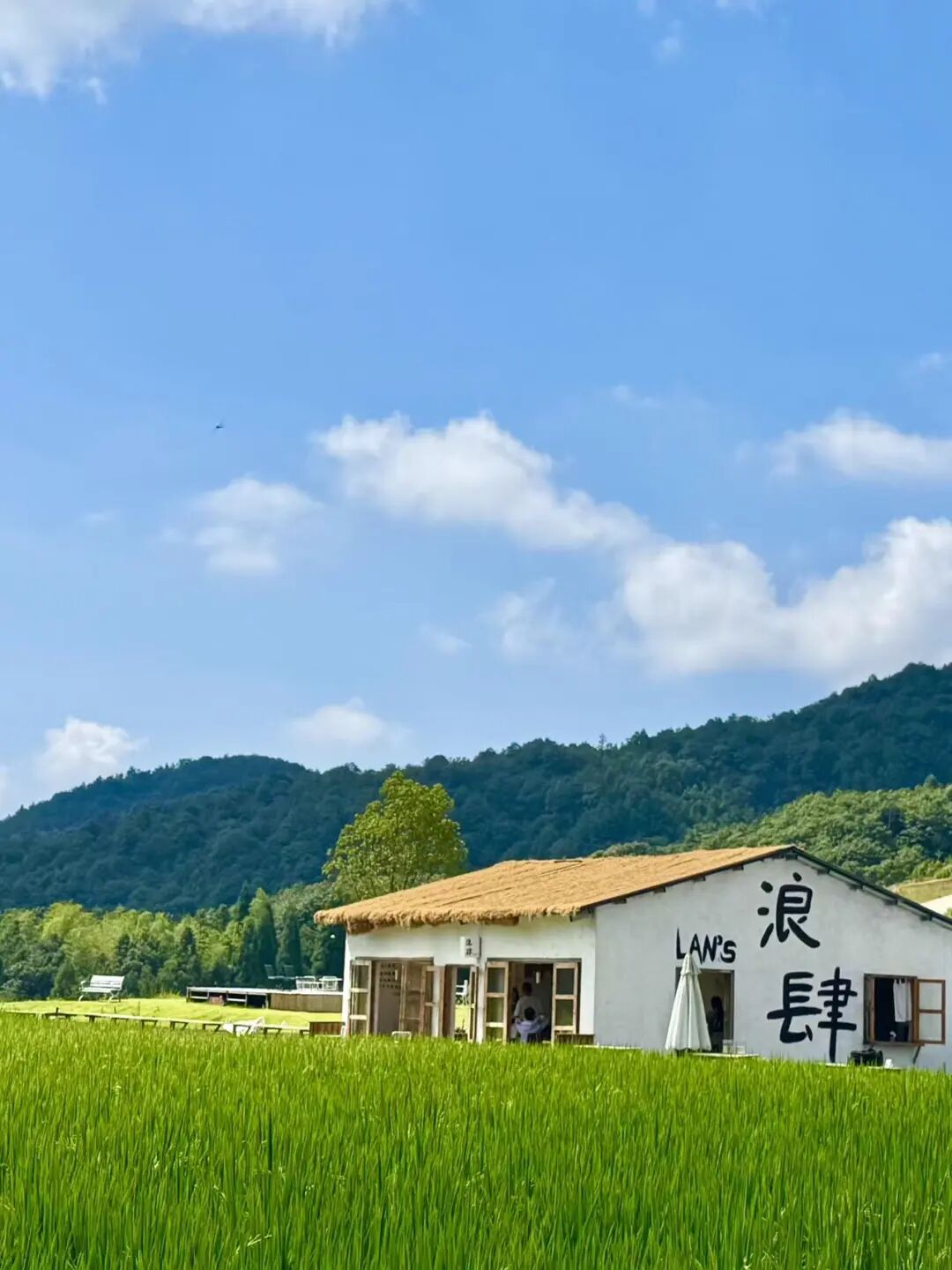 国庆人超少！风吹麦浪的文艺小县城，2h直达，喝咖啡吃河鲜，山水媲美张家界！
