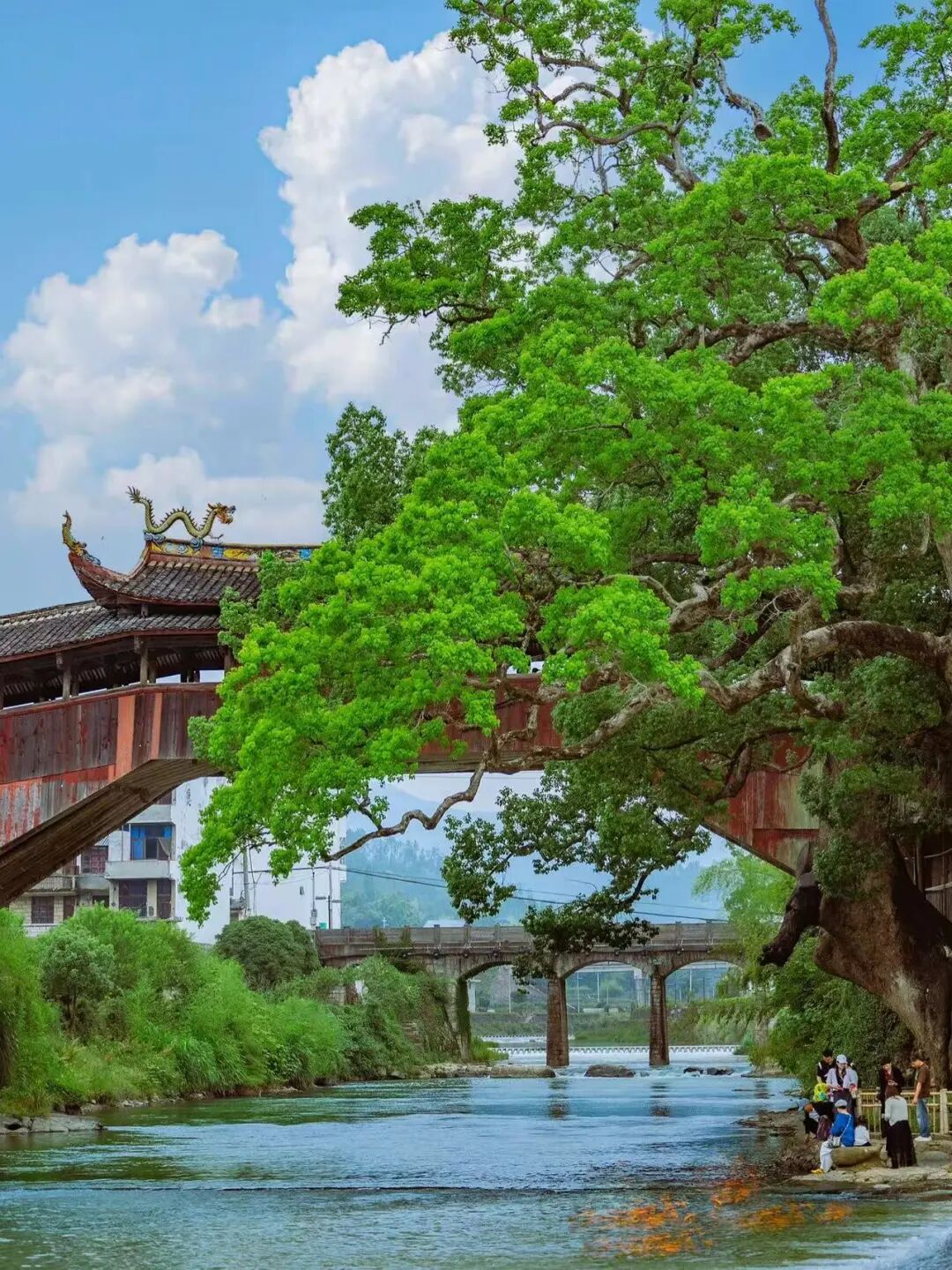 国庆人超少！风吹麦浪的文艺小县城，2h直达，喝咖啡吃河鲜，山水媲美张家界！