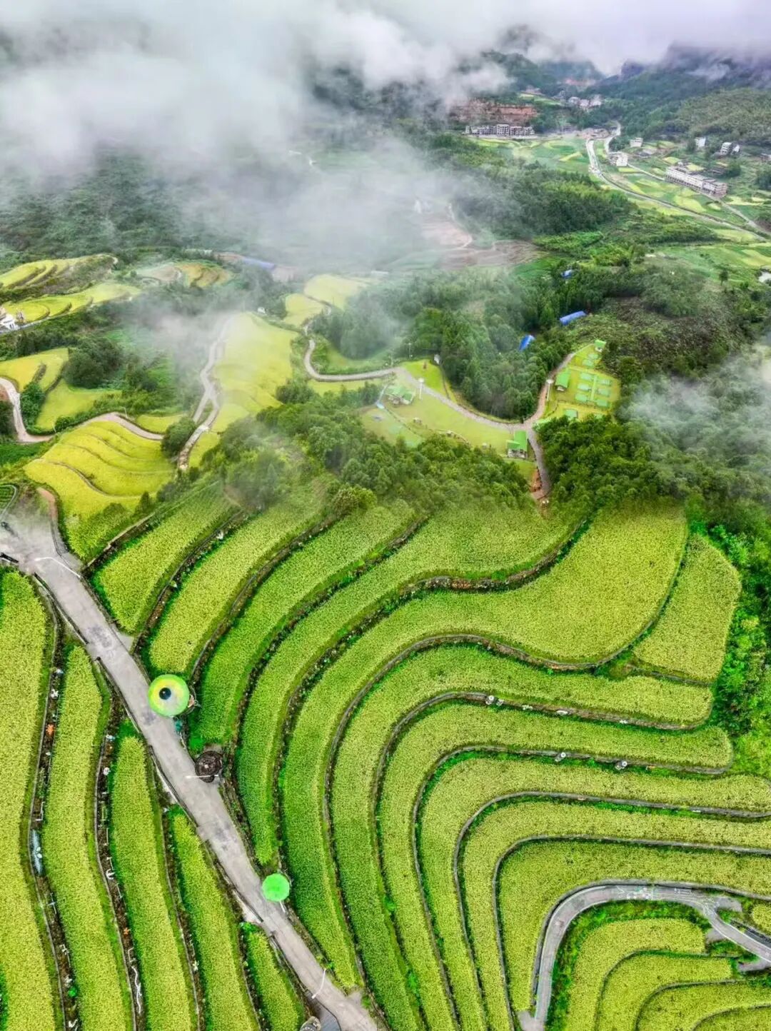 国庆人超少！风吹麦浪的文艺小县城，2h直达，喝咖啡吃河鲜，山水媲美张家界！