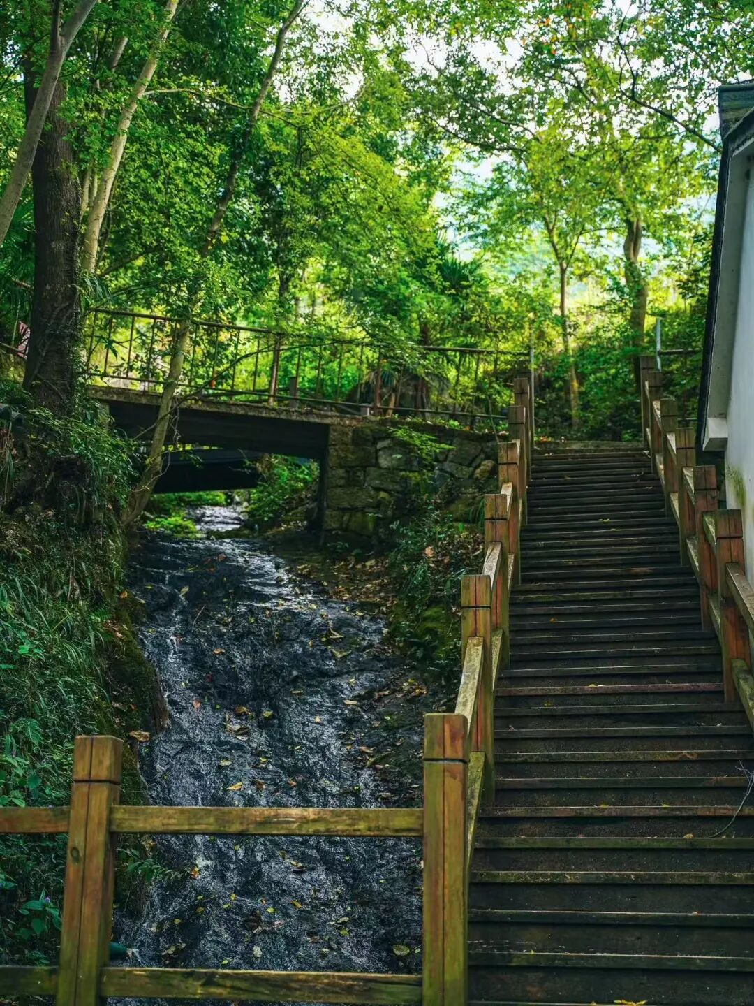 被严重低估的冷门小城！高铁1h直达，山水又侠气又仙，小吃还是NO.1？！