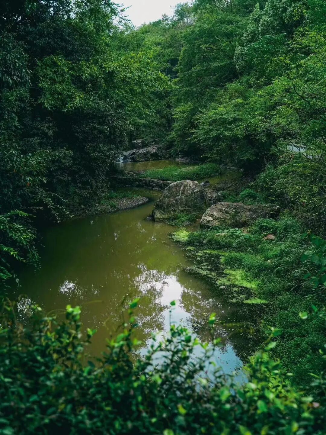 被严重低估的冷门小城！高铁1h直达，山水又侠气又仙，小吃还是NO.1？！