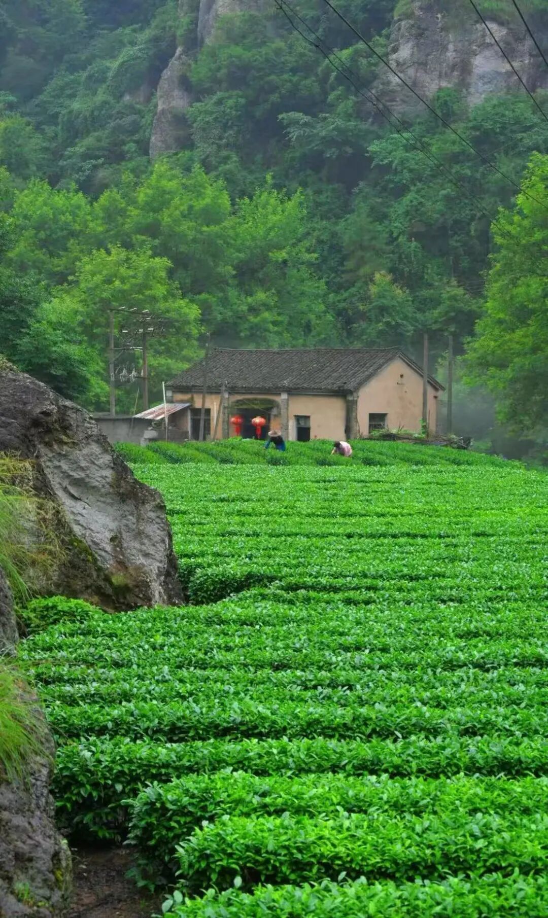 被严重低估的冷门小城！高铁1h直达，山水又侠气又仙，小吃还是NO.1？！