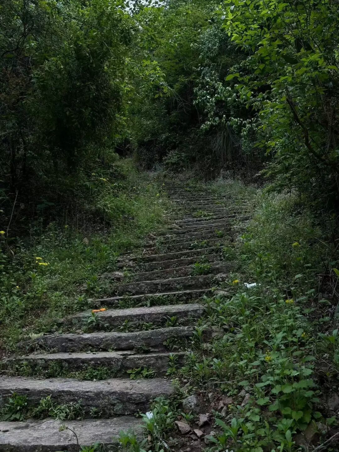 被严重低估的冷门小城！高铁1h直达，山水又侠气又仙，小吃还是NO.1？！