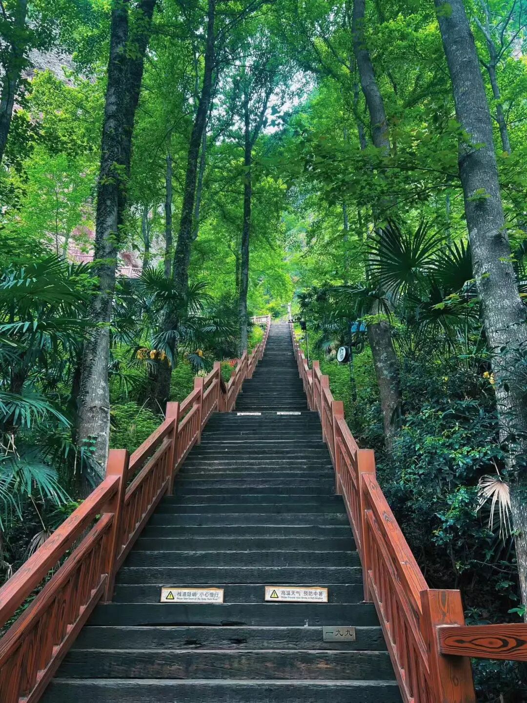 被严重低估的冷门小城！高铁1h直达，山水又侠气又仙，小吃还是NO.1？！