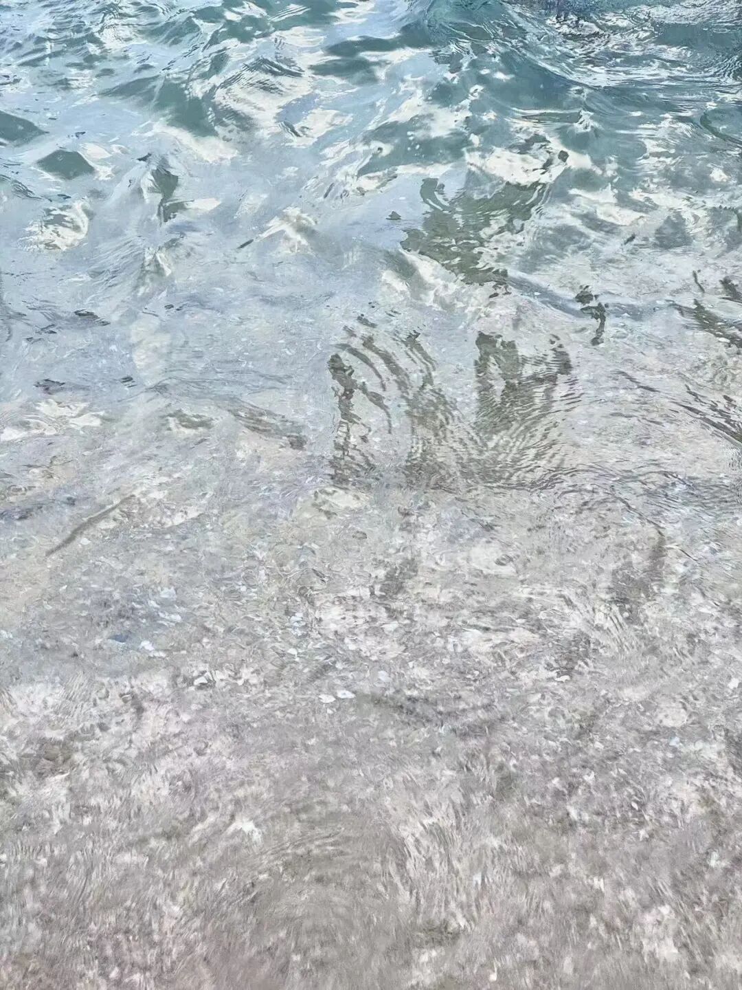 机票仅300+，最适合养老的海滨慢城，人均￥40炫早茶，6元椰子当水喝