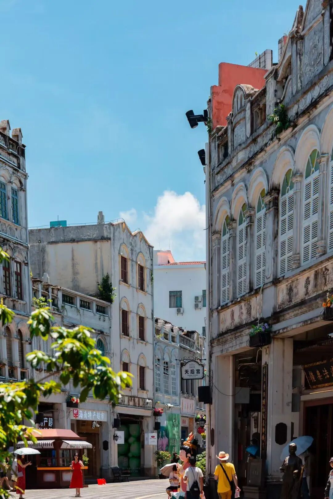 机票仅300+，最适合养老的海滨慢城，人均￥40炫早茶，6元椰子当水喝