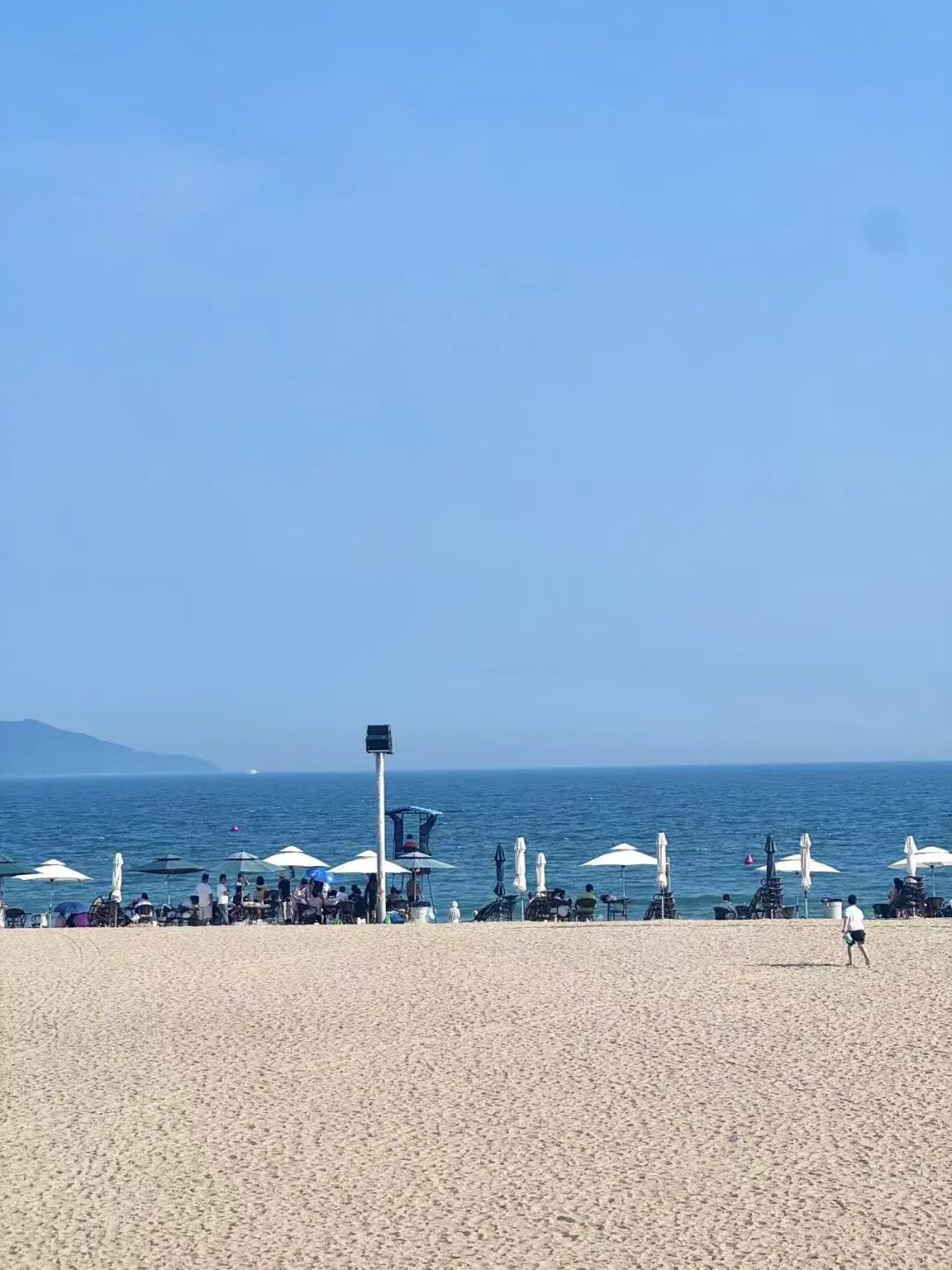 机票仅300+，最适合养老的海滨慢城，人均￥40炫早茶，6元椰子当水喝