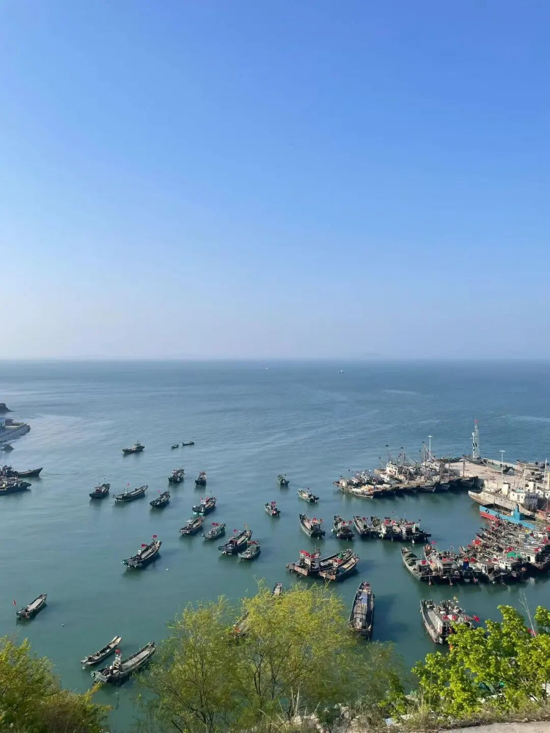 几乎0游客的山海秘境，海鲜不输象山，海岛比舟山淳朴，满街小吃炫不停！