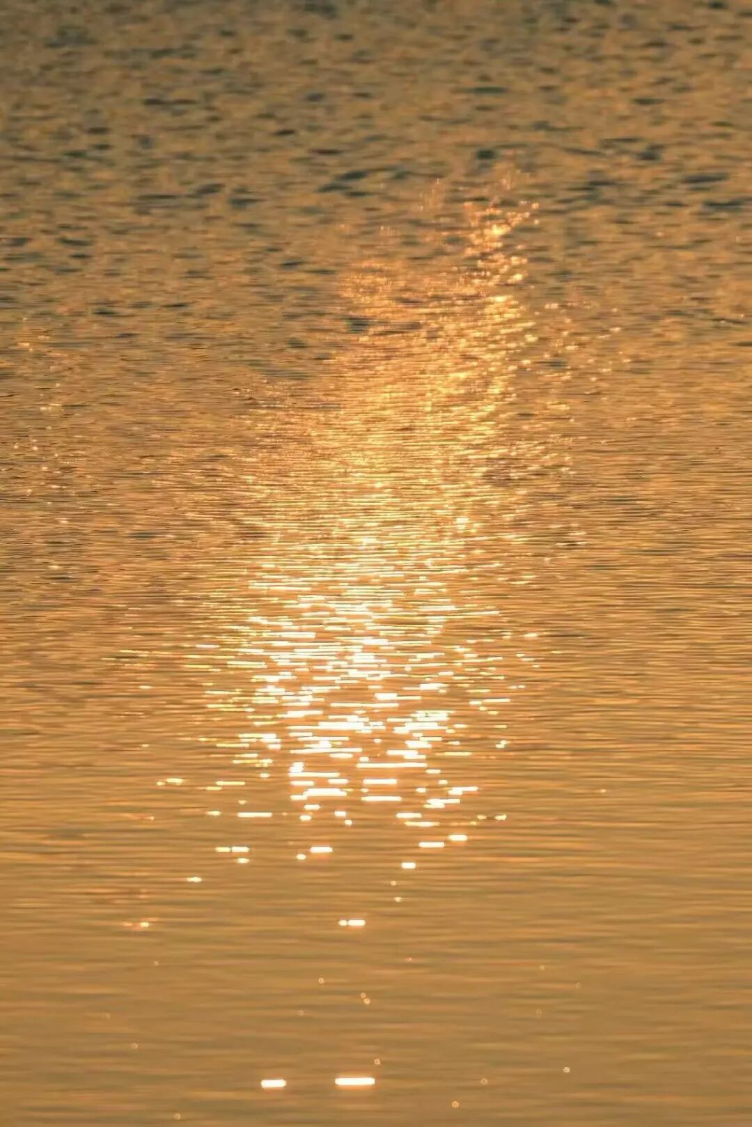 几乎0游客的山海秘境，海鲜不输象山，海岛比舟山淳朴，满街小吃炫不停！